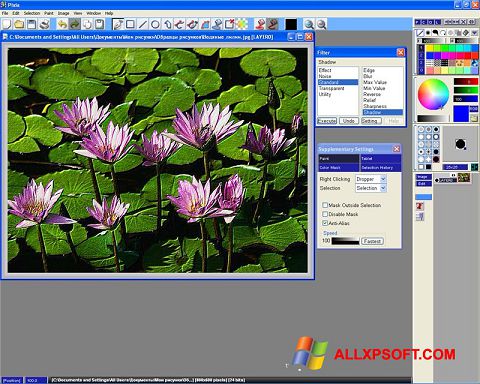 Screenshot Pixia for Windows XP