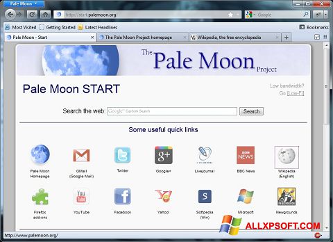 Screenshot Pale Moon for Windows XP