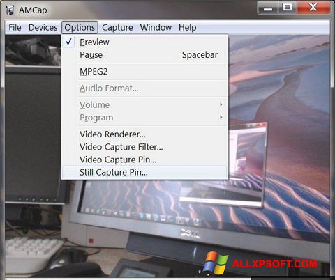 Screenshot AMCap for Windows XP