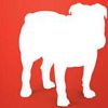 BullGuard for Windows XP