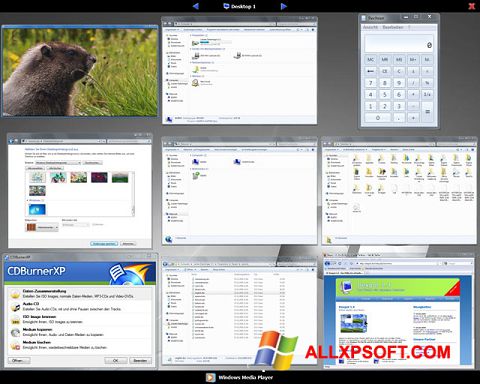 Screenshot Dexpot for Windows XP