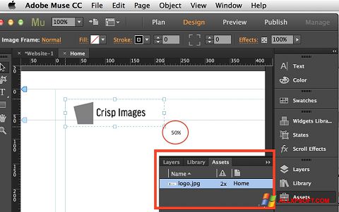 Screenshot Adobe Muse for Windows XP