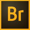 Adobe Bridge for Windows XP