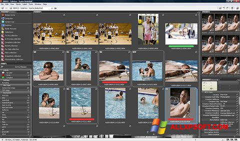 Screenshot Adobe Bridge for Windows XP