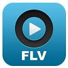 FLV Player for Windows XP