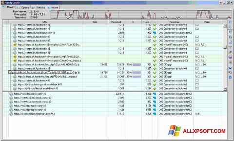 Screenshot HandyCache for Windows XP