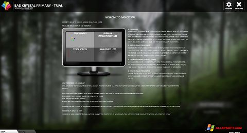 Screenshot Bad Crystal for Windows XP