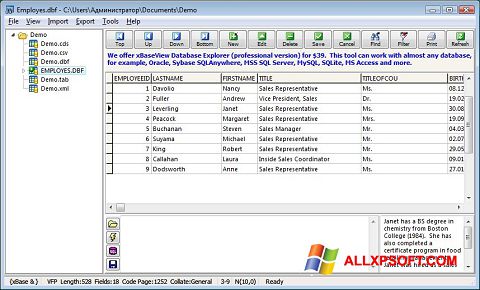 Screenshot DBF Viewer for Windows XP