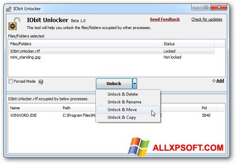 Screenshot IObit Unlocker for Windows XP