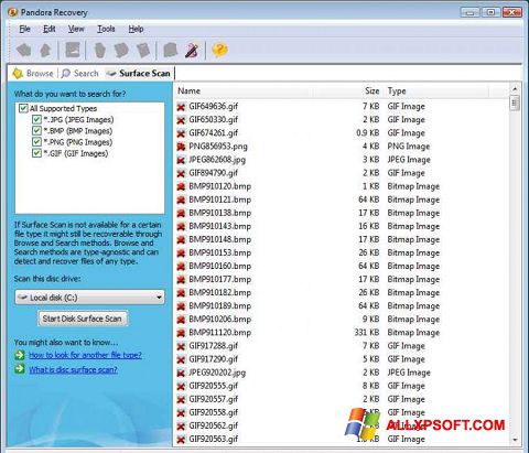 Screenshot Pandora Recovery for Windows XP