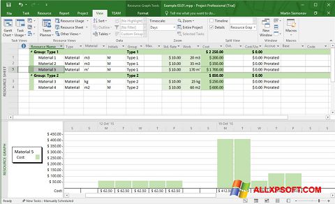 Screenshot Microsoft Project for Windows XP