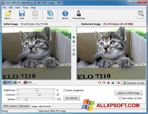 Screenshot RIOT for Windows XP