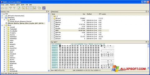 Screenshot DMDE for Windows XP